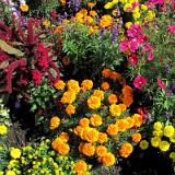 1201S 38 Schloss Neuhaus Aug 11